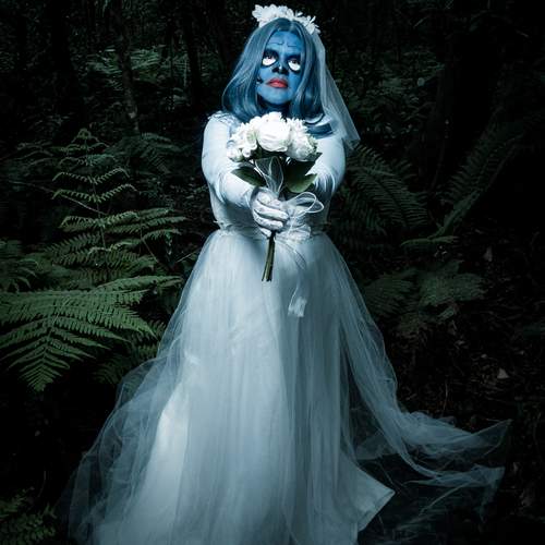 Photo #13606718