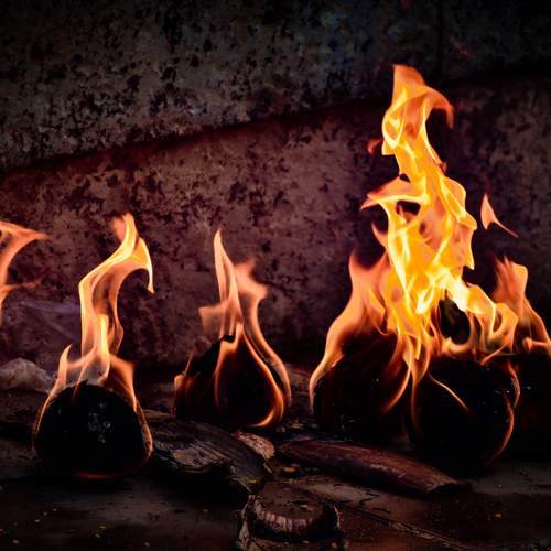 Photo #13606733