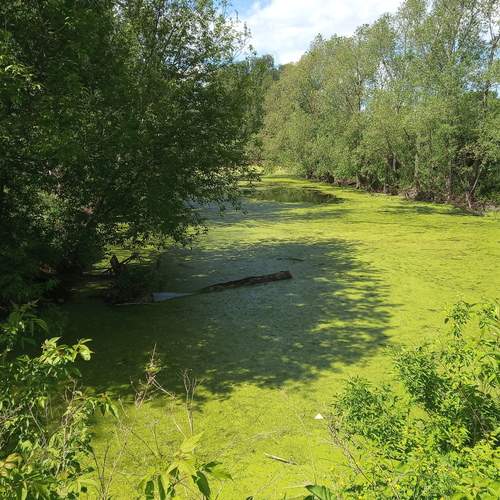 Photo #13606786