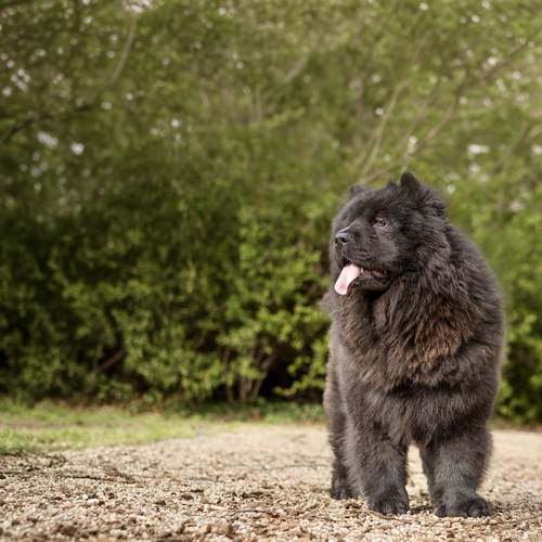 Photo #13606790