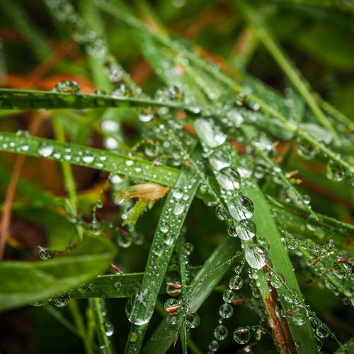 Rain art