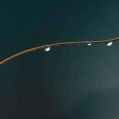 Photo #13606814
