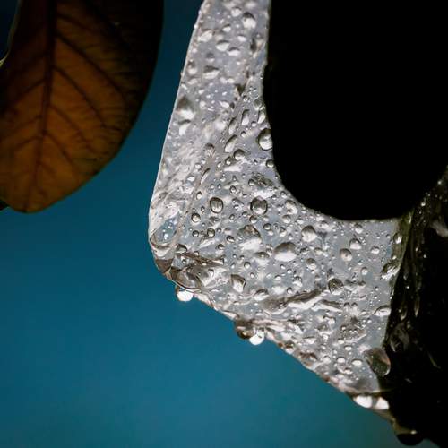 Photo #13606817