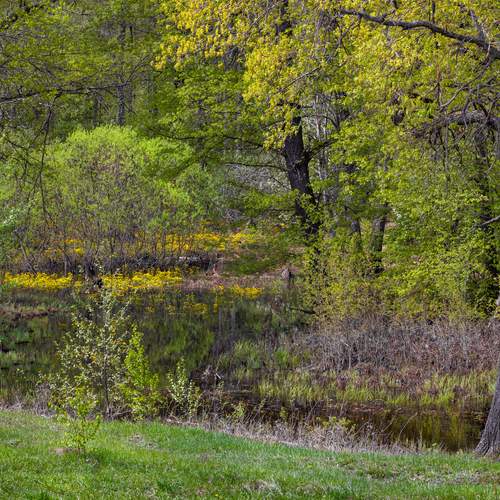 Photo #13606890