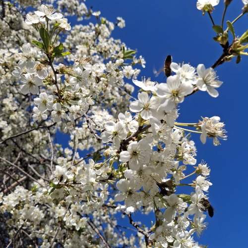 Photo #13606957