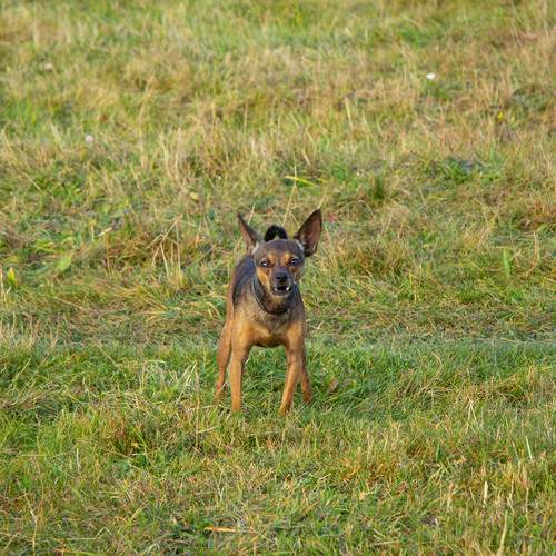 Photo #13606959