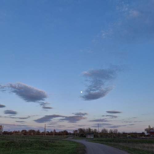Photo #13606971
