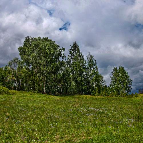 Photo #13607010