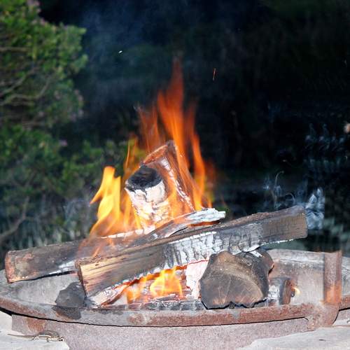 Photo #13607011