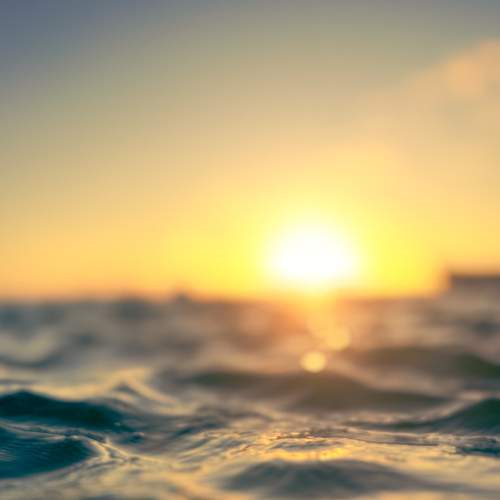 Photo #13607110