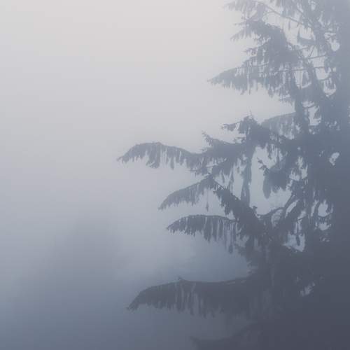 Photo #13607137