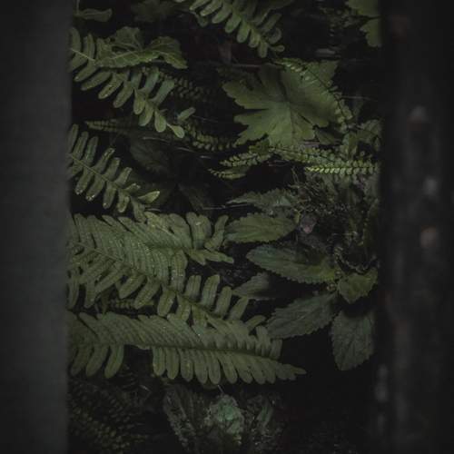 Photo #13607139