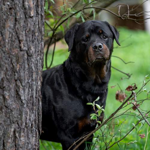 Photo #13607201
