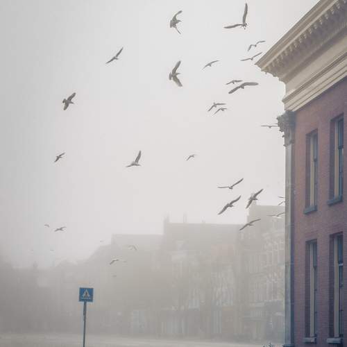 Photo #13607286