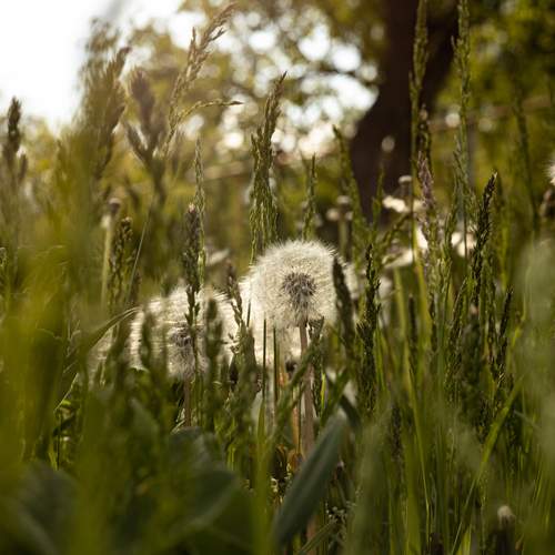 Photo #13607320