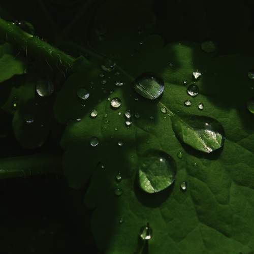 Photo #13607345