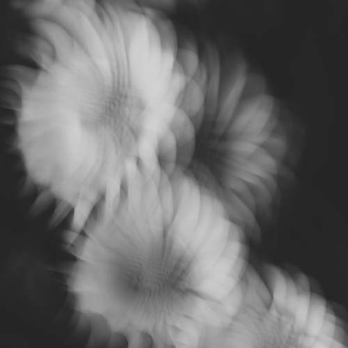 Turmoil