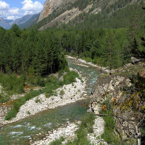 Photo #13607389