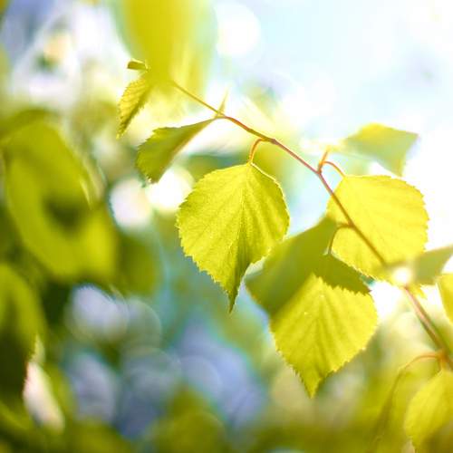 Photo #13607442