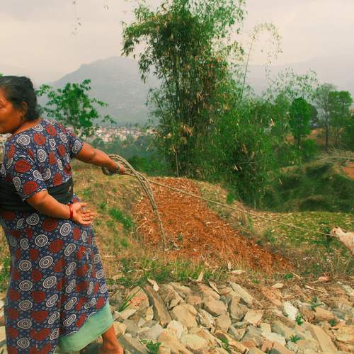 Photo #13607461