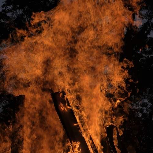 Photo #13607482