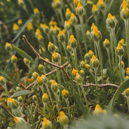 Photo #13607509