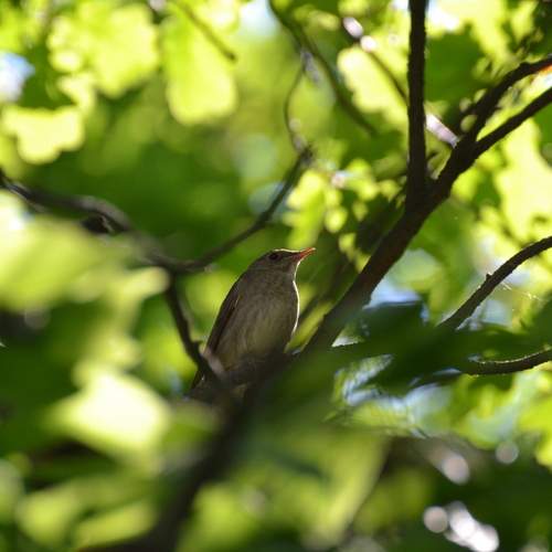 Photo #13607525