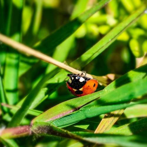 Photo #13607526