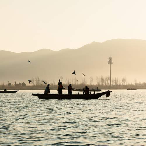 Photo #13607645