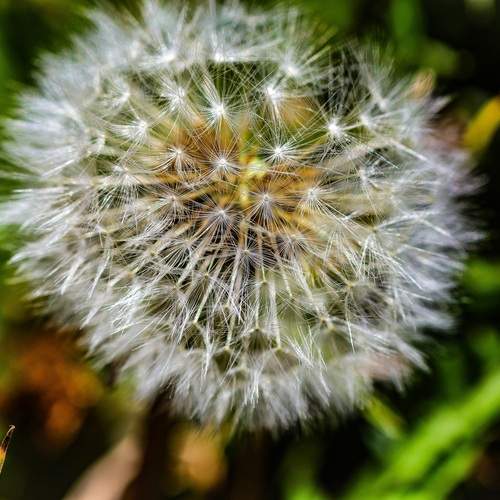 Photo #13607670