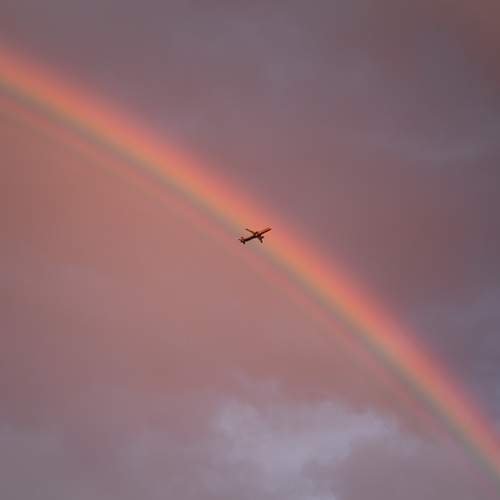 Photo #13607698