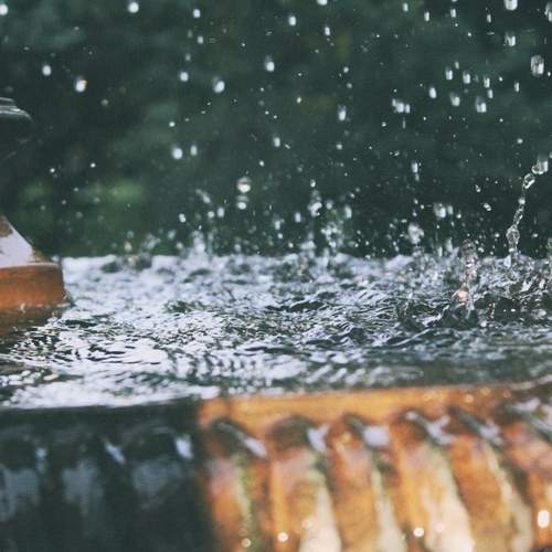 Photo #13607764