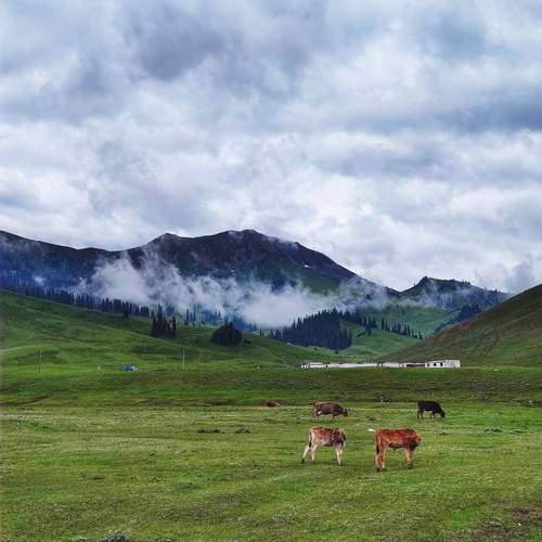 Photo #13607775