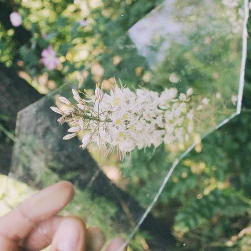 Photo #13607782