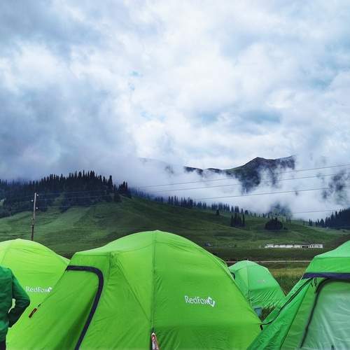 Photo #13607804