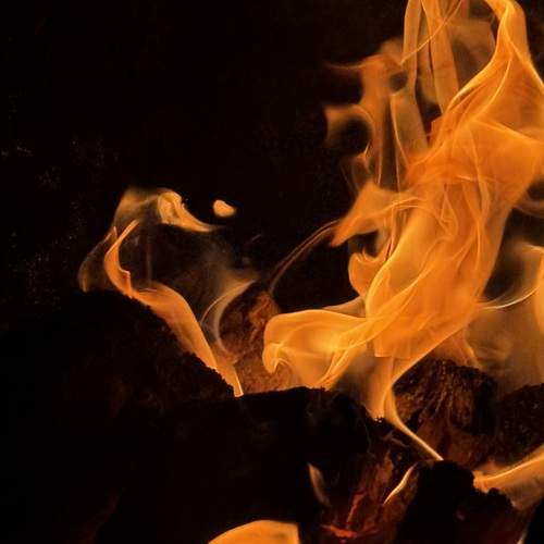 Photo #13607833