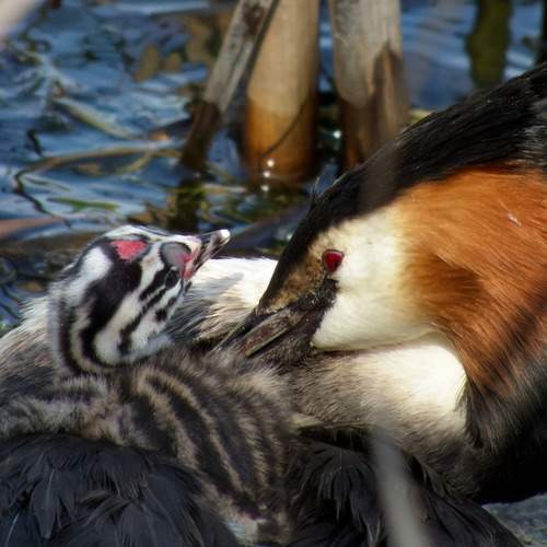 Photo #13607903