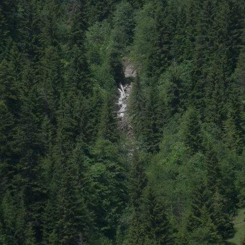 Photo #13607979