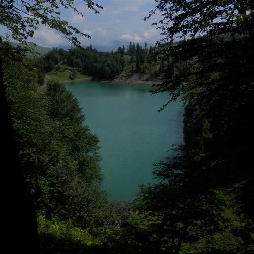 Photo #13607987