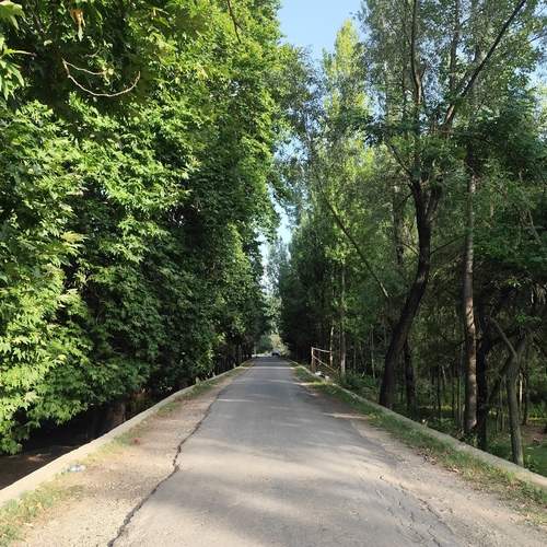 Photo #13608105