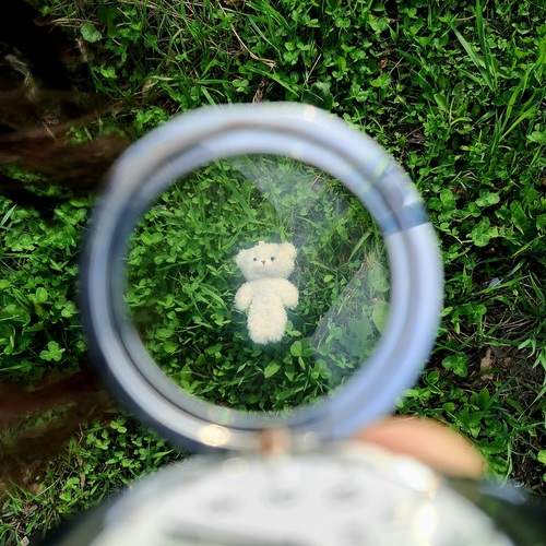 Photo #13608122