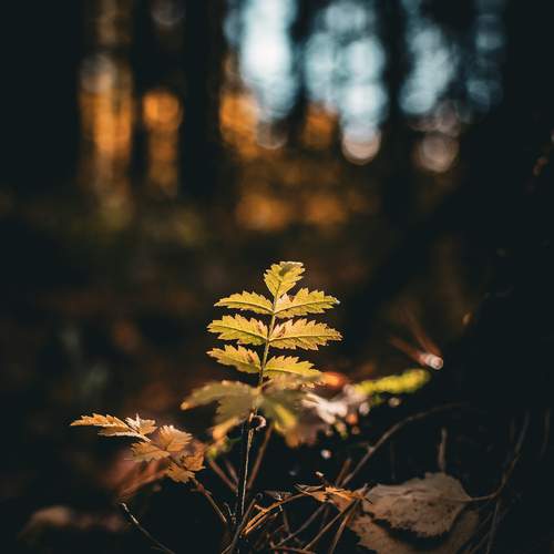 Photo #13608126