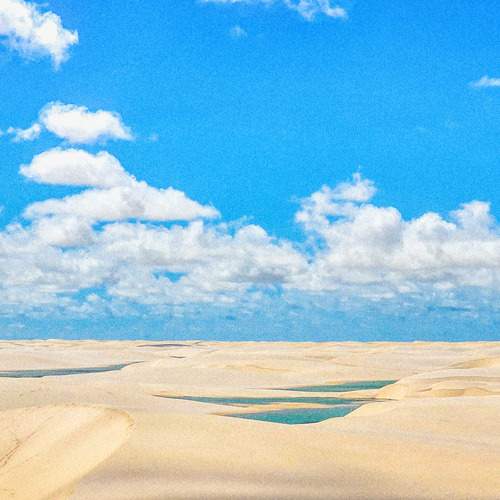 Photo #13608141