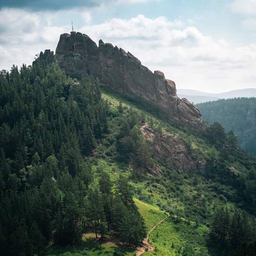 Photo #13608229