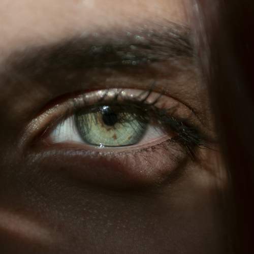 Photo #13608232