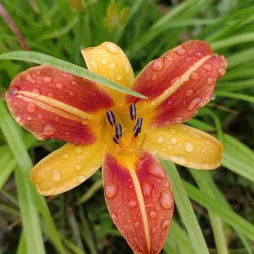 Photo #13608333