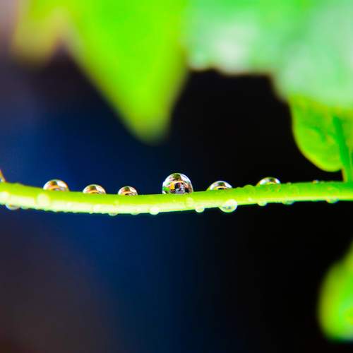 A Auto Riksa Inside the water Drop