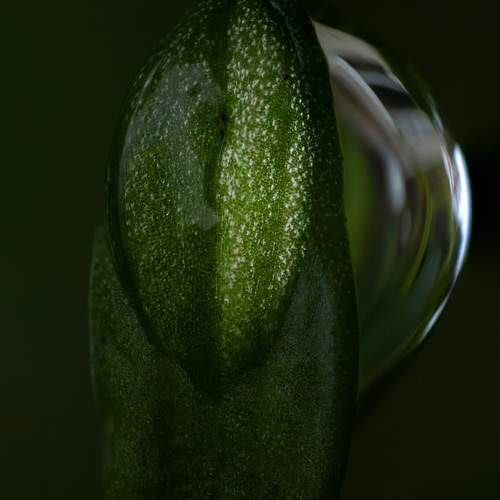Photo #13608401