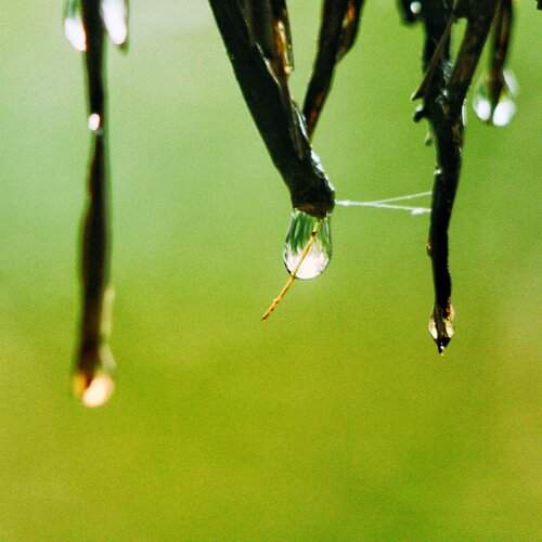 The Liquid Pendulum