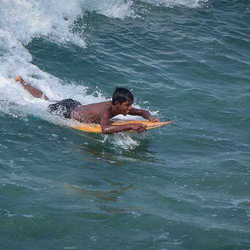Photo #13608489